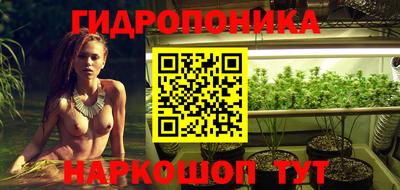 соль ск Дубна