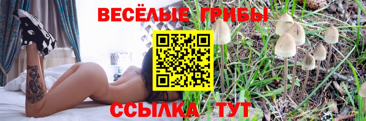 Псилоцибиновые грибы GOLDEN TEACHER Муравленко