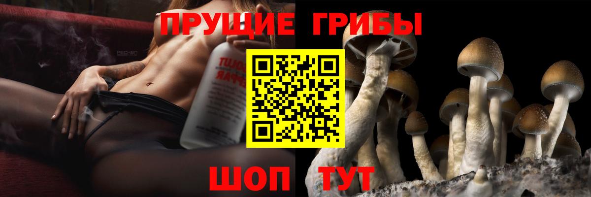 Псилоцибиновые грибы мицелий  Вход с VPN  Муравленко 